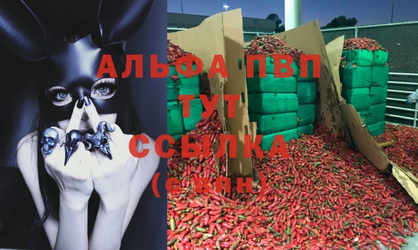 амф Краснослободск