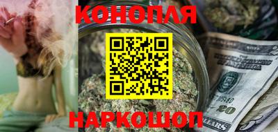 сатива Кандалакша
