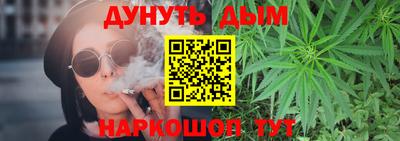 сатива Кандалакша