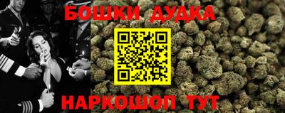сатива Кандалакша