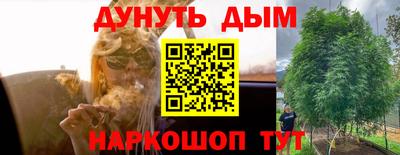ALPHA PVP Камышлов