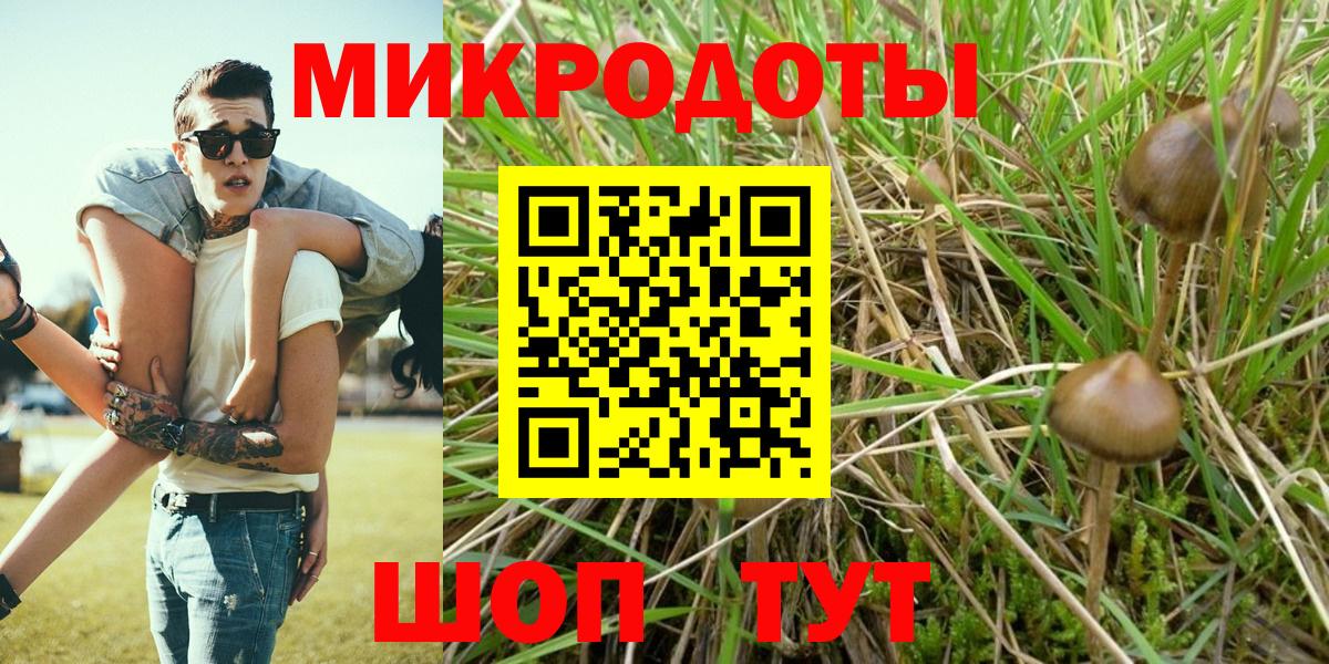 Псилоцибиновые грибы MAGIC MUSHROOMS  Вход с VPN  Мытищи 