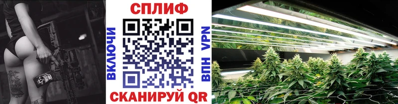 Бошки марихуана ГИДРОПОН  Мытищи 